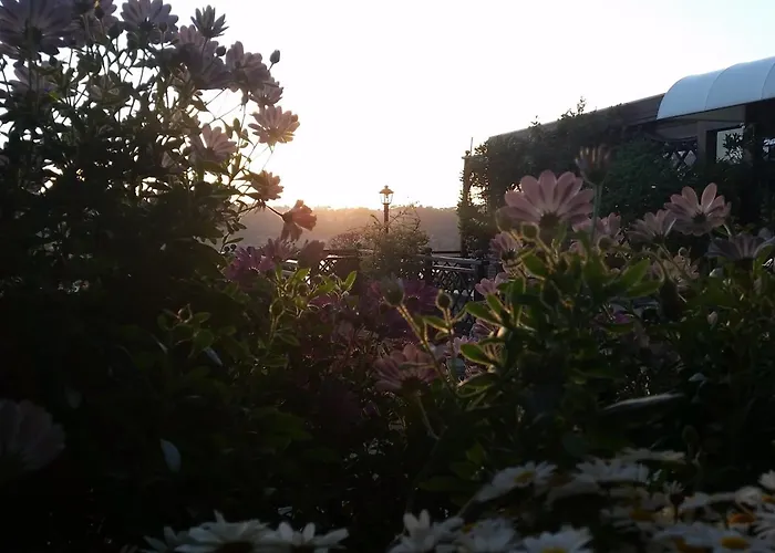 Hotel Villa Degli Angeli