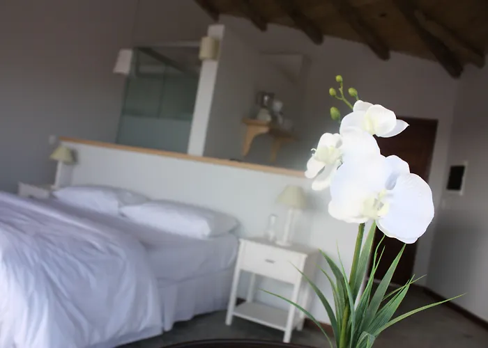 MarAdentro Apart Hotel&Suites
