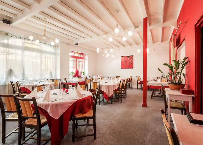 Logis Hotel Le Cygne