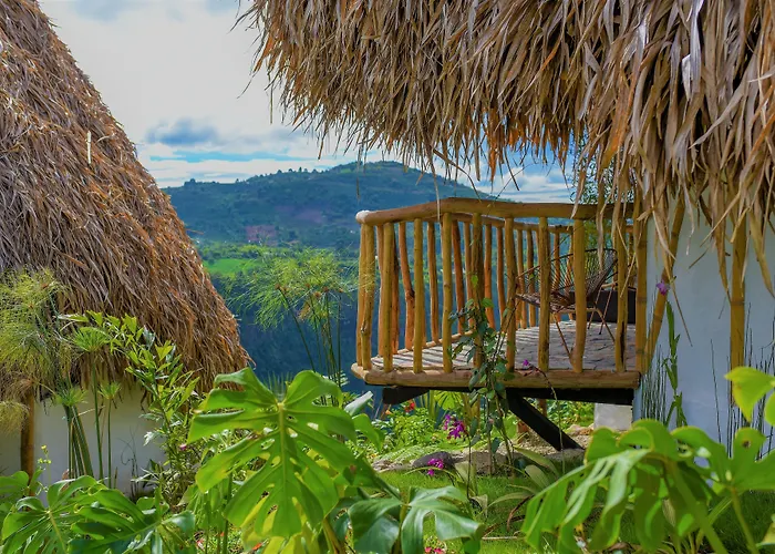 Ceiba By Masaya Collection