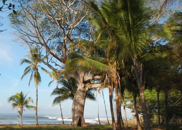 Punta Roca Surf Resort