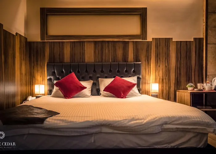 White Cedar Hotel &Resort