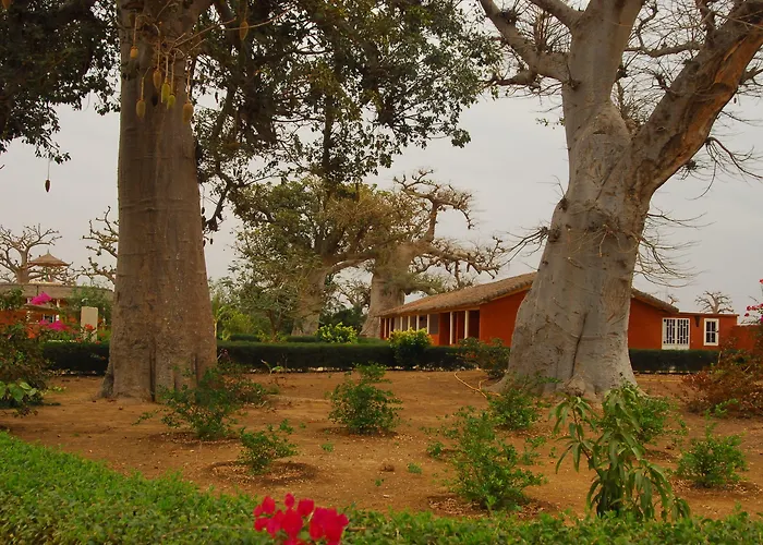 Baobab Soleil