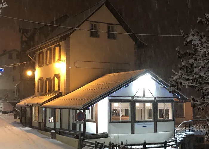 Hotel Genepi