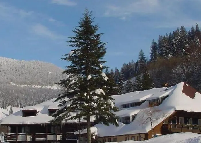 Hotel Lawine