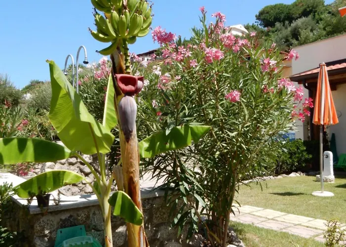 Le Casette Sul Mare