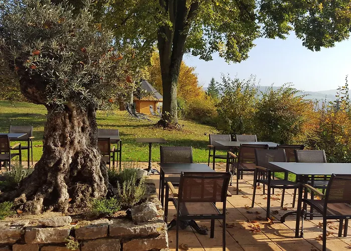 Vitalhotel Koenig Am Park