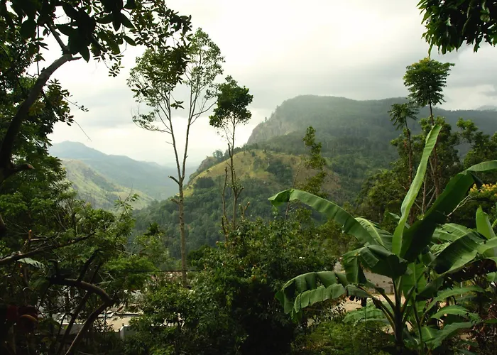 Wonderland View