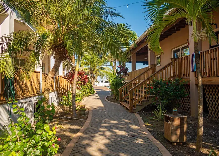 Wikkid Resort