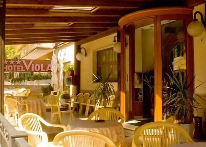 Hotel Viola