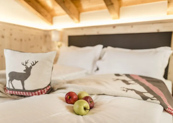 Hotel Shandranj