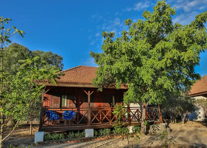 Kimony Resort