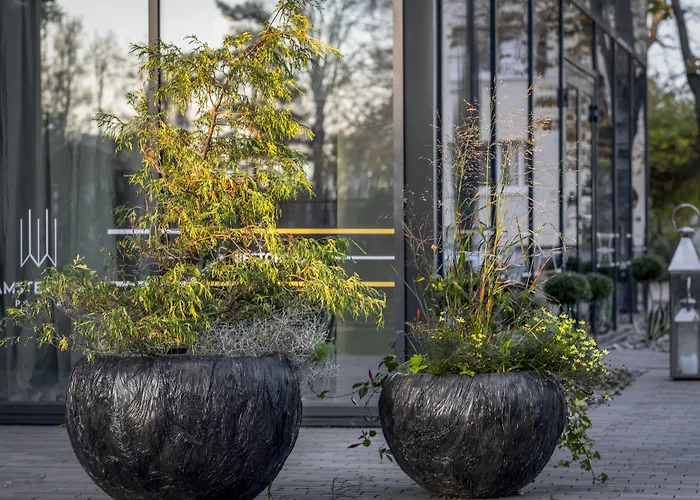 Amsterdam Plaza Hotel&SPA