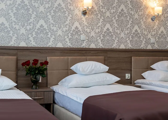 Hotel Maximum