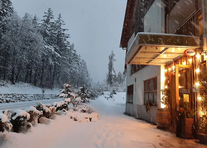 Hotel Boka