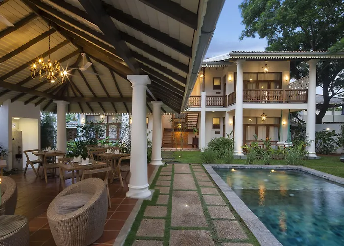 Bilin Tree House