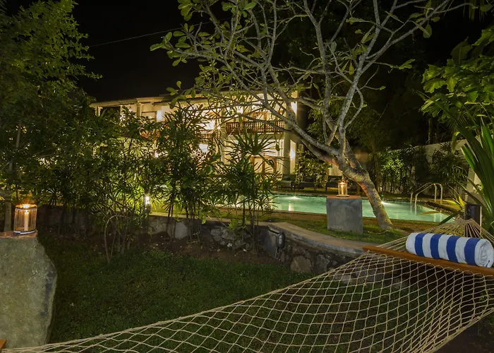 Bilin Tree House