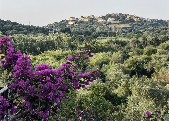 La Corte Degli Ulivi - Albergo Rurale