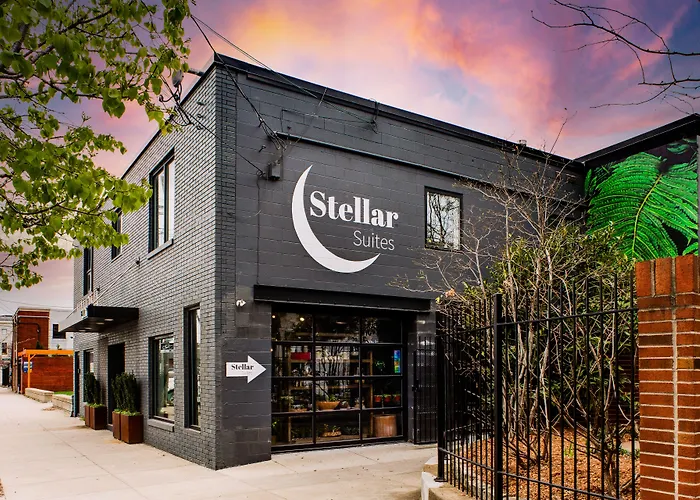 Stellar Suites