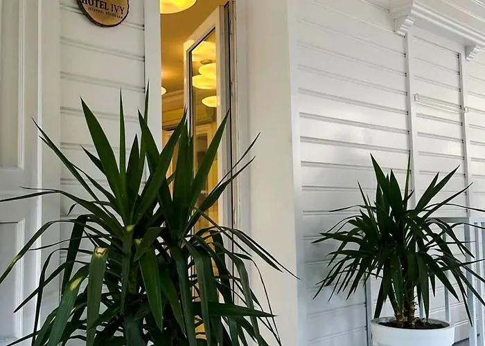 Hi Hotel Ivy Bueyuekada