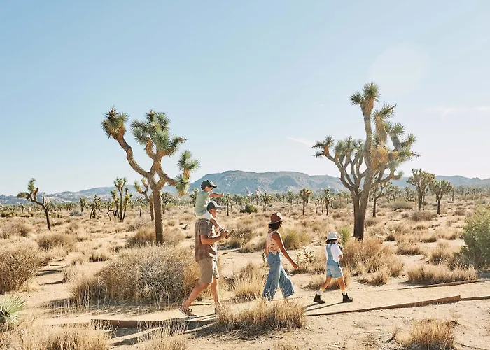 Field Station Joshua Tree