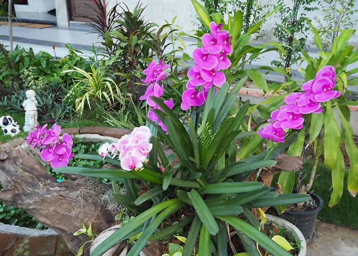 A Day Inn Lamphun