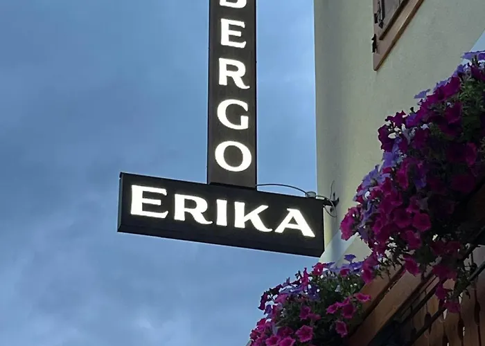 Hotel Erika