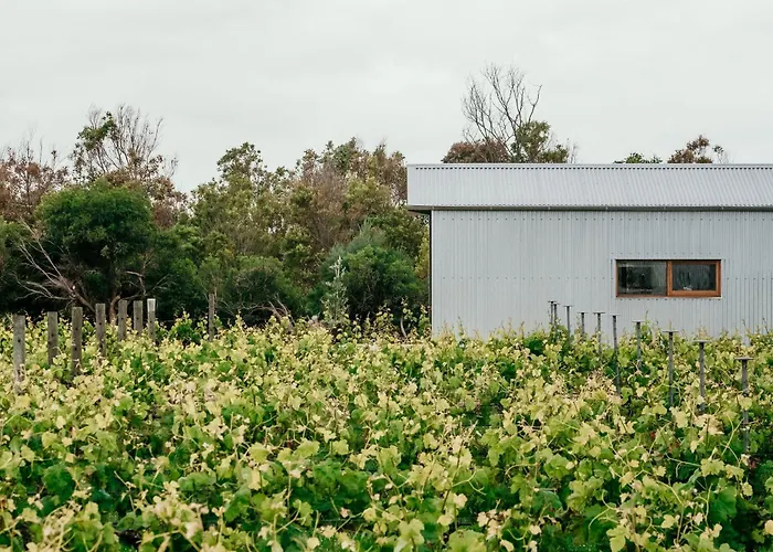 Basalt Wines Retreat