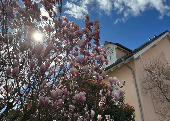 Astralis Hotel Domizil