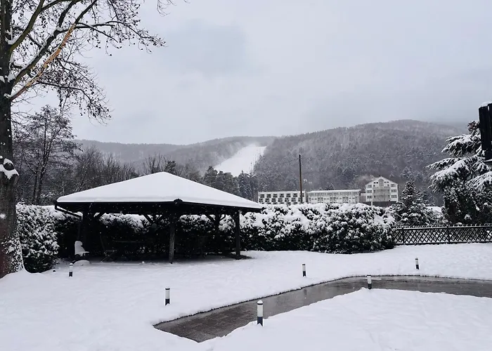 Hotel Pohorje