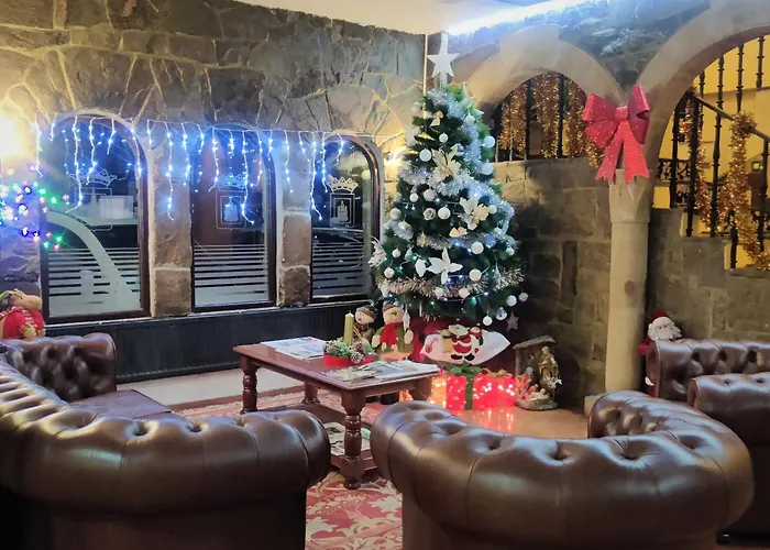 Hotel Leonor Miron