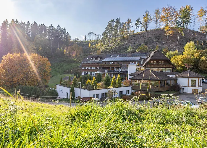 Hotel Kaeppelehof