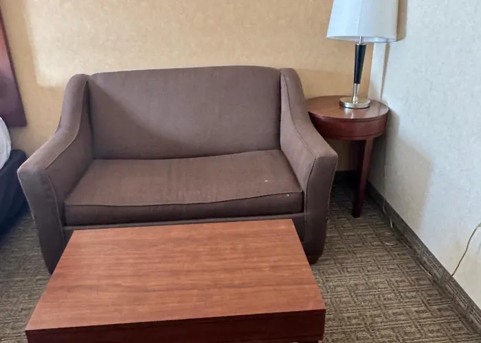 Comfort Inn&Suites Hamburg - Buffalo South