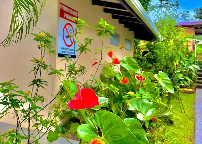 Loma Real Hot Springs Bed & Breakfast