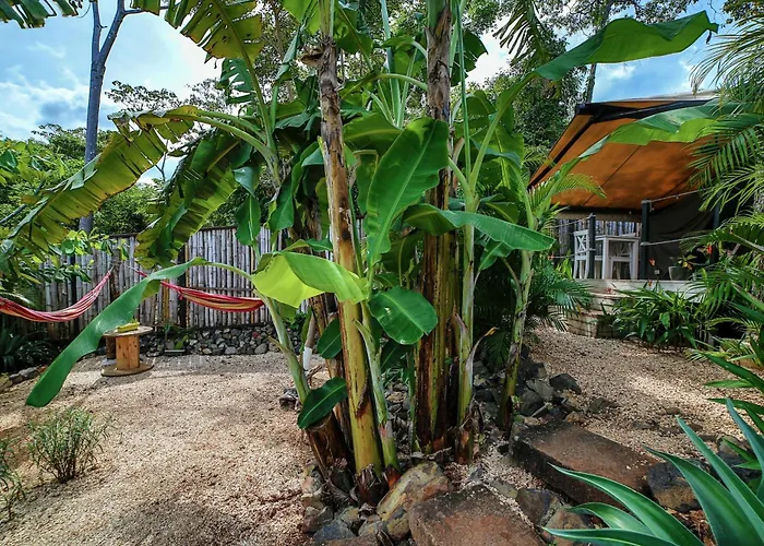 Glamping Hotel Flor y Bambu