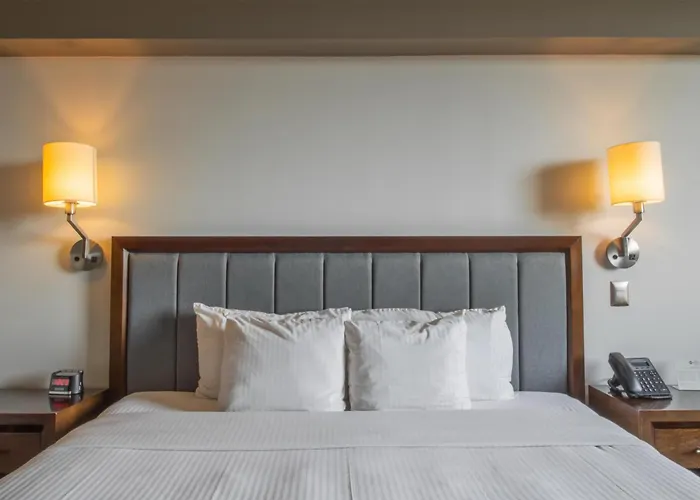 Best Western Plus Santa Cecilia Pachuca