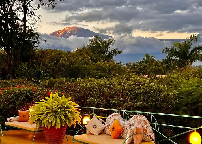 Pink Flamingo Boutique Hotel