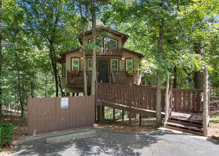 The Grand Treehouse Resort