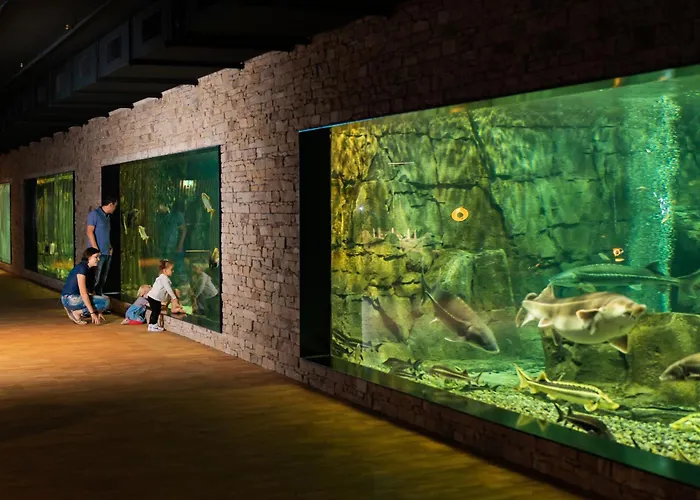 Hotel Meilenstein