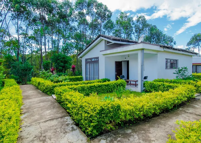 Oka Forest Lodge