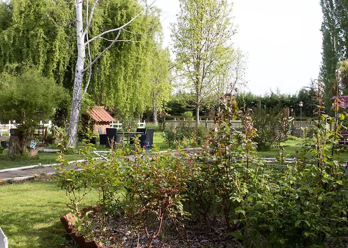 Cabañas Los Culenes