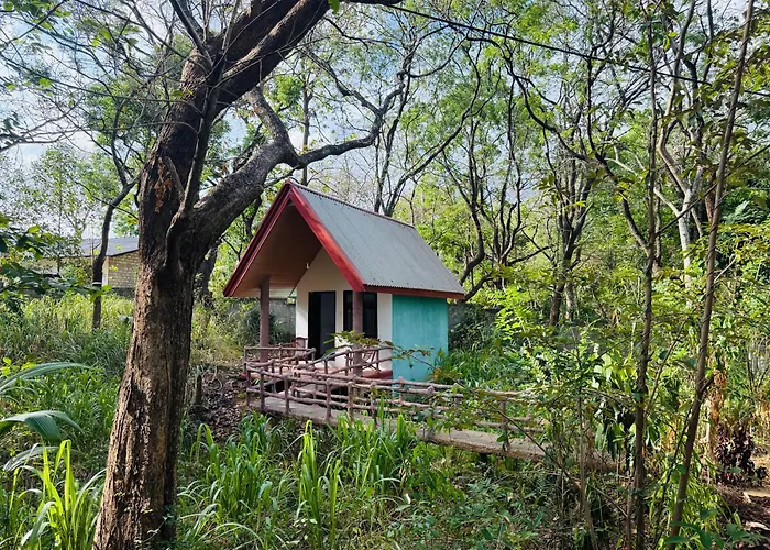 Zora Resort