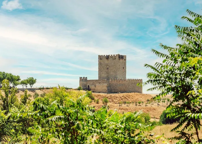 abba Las Viñas Tiedra Hotel Rural