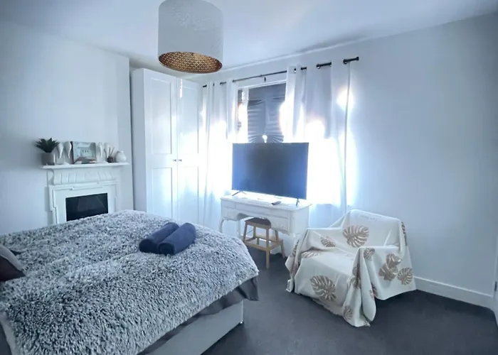 Artsy Minimalist Suite