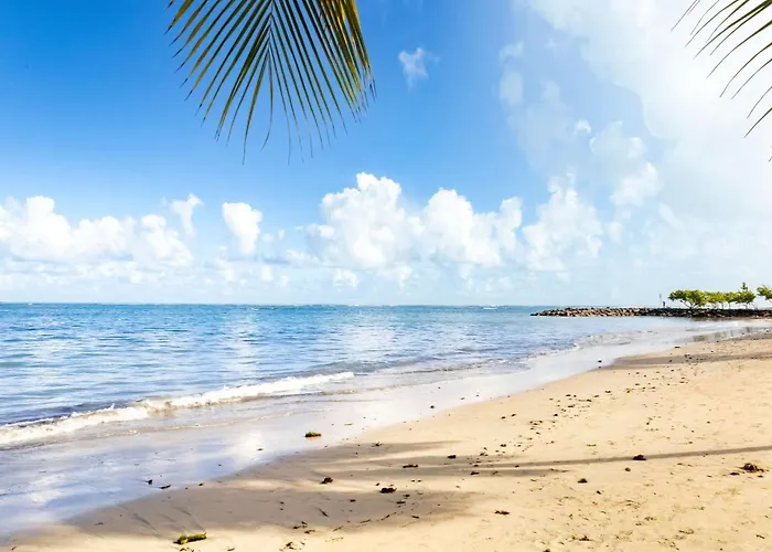 Aqua Terrazas Studio 3 - Beachfront, Pool, Local Fun & Dining