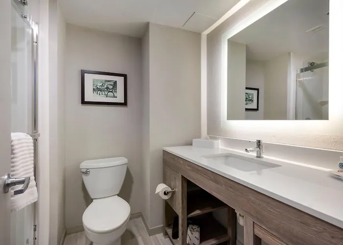 Comfort Inn & Suites Alexandria West