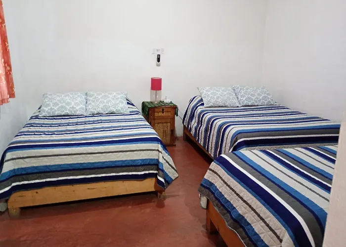 Pension Baja Paradise