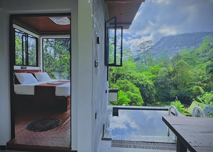 Rainforest cabin