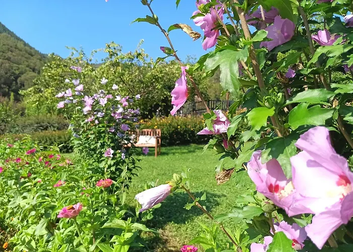 Hotel Finca Malvasia - Adults Only