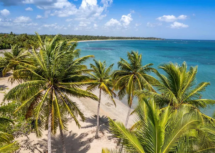 Aqua Terrazas Studio 4 - Oceanfront, Pool & Terrace Views